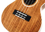 TWISTED WOOD UKULELE AR-800T