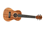 TWISTED WOOD UKULELE AR-800T