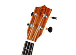 TWISTED WOOD UKULELE AR-800T