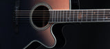 TAKAMINE GUITAR LTD2024