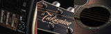 TAKAMINE GUITAR LTD2024