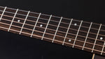 TAYLOR GUITAR 50th Anniversary AD14CE-SB LTD