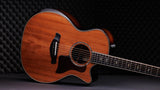 TAYLOR GUITAR 50th Anniversary Builder's Edition 814ce LTD