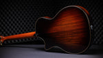 TAYLOR GUITAR 50th Anniversary Builder's Edition 814ce LTD