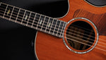 TAYLOR GUITAR 50th Anniversary Builder's Edition 814ce LTD