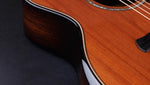 TAYLOR GUITAR 50th Anniversary Builder's Edition 814ce LTD