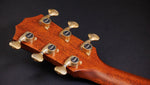 TAYLOR GUITAR 50th Anniversary Builder's Edition 814ce LTD