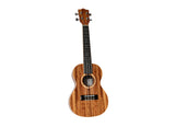 TWISTED WOOD UKULELE AR-800C - PickersAlley